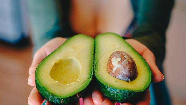 avocado coyot pixabay